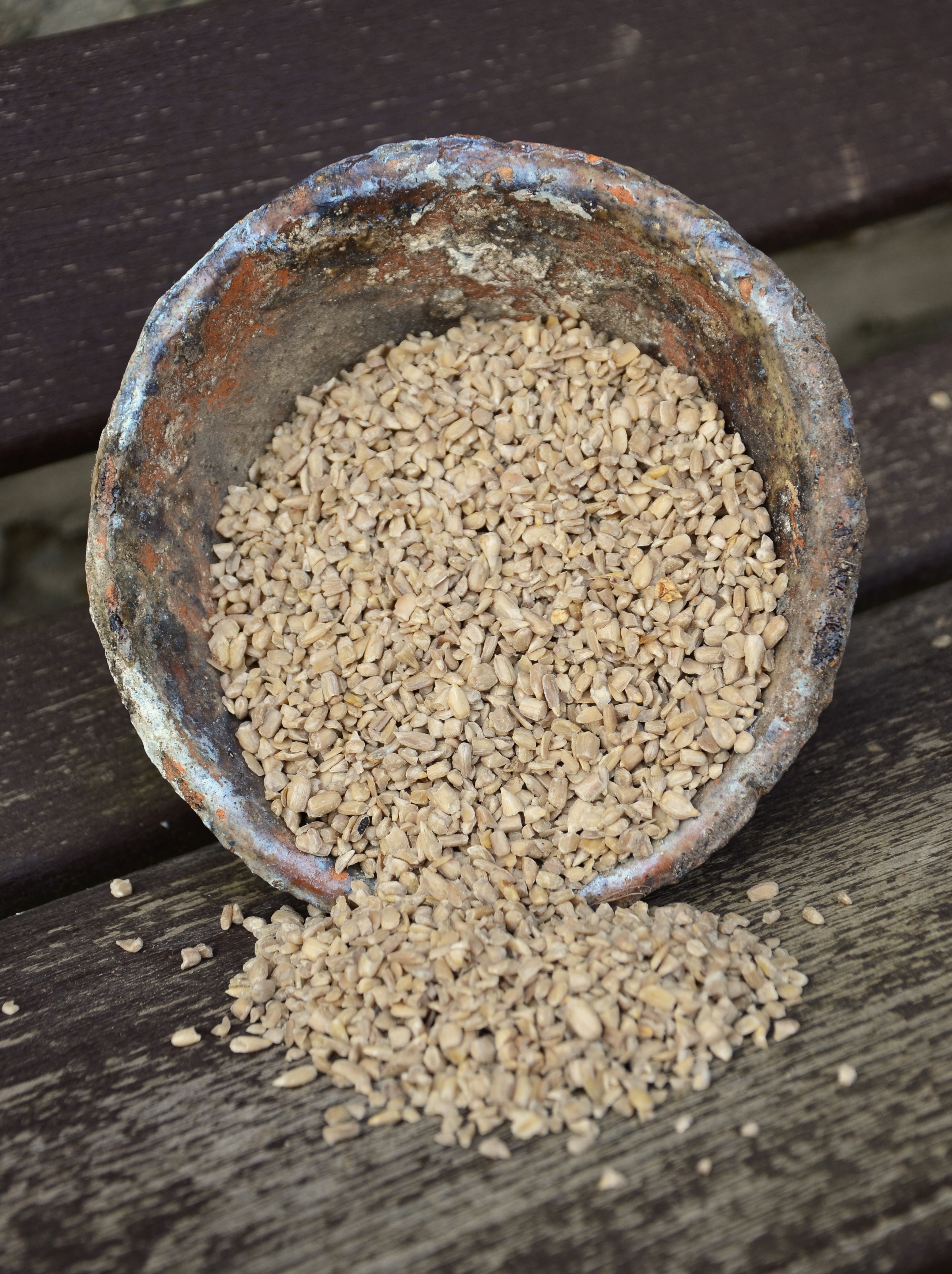 Sunflower-Bakers Kernels